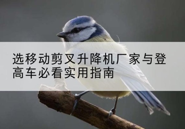 鼓楼电动升降机厂家-选移动剪叉升降机厂家与登高车必看实用指南